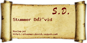 Stummer Dávid névjegykártya